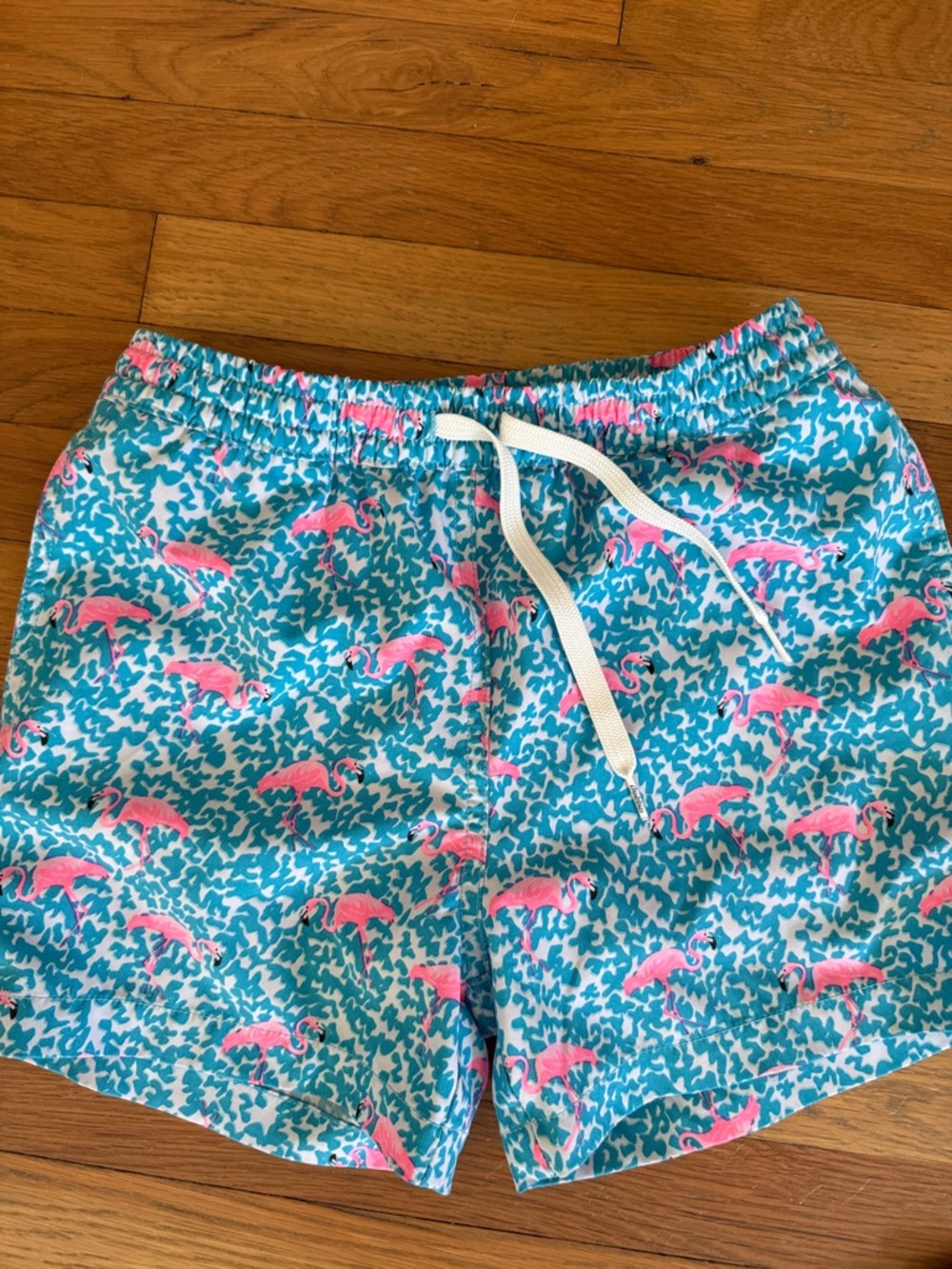 Chubbies Pink Flamingo Print Swim Shorts - Teal Background